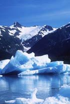 Glacier Bay