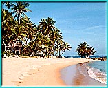Dorado Beach