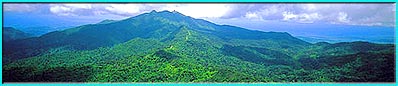 El Yunque