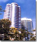 The Melia Tower