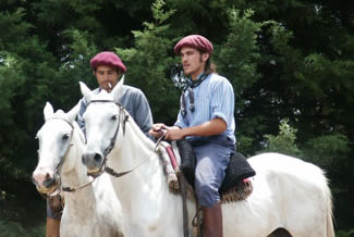 guachos