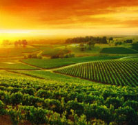 Hunter Valley