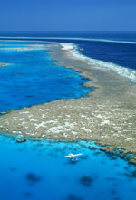 Barrier Reef