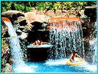 Carpenter Puerto Rico Hotel Accommodations Cerromar Pool Dorado Beach